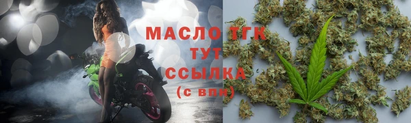 гидра Богородицк