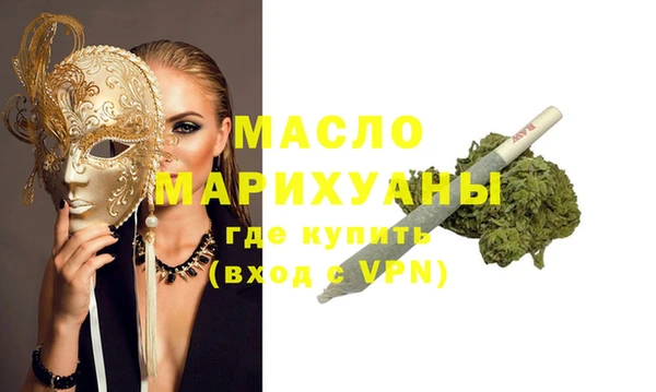 гидра Богородицк