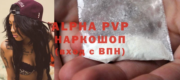 дмт Богданович