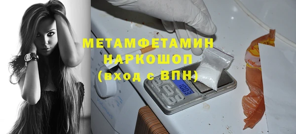 гидра Богородск
