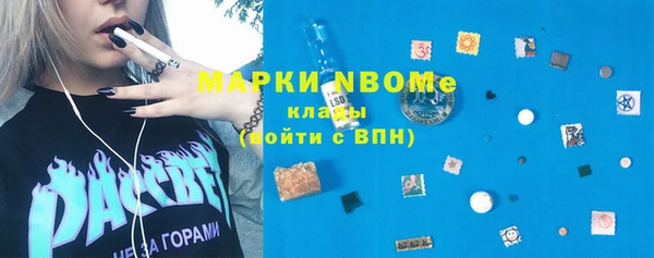 гидра Богородицк