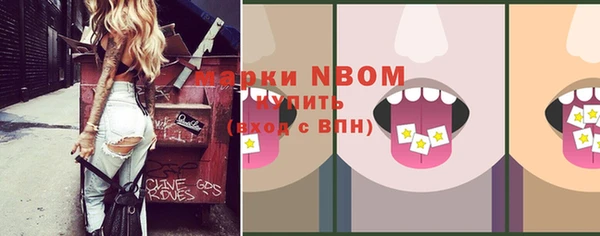 гидра Богородицк