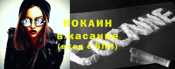 дмт Богданович