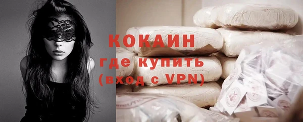 гидра Богородицк