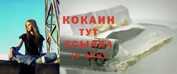 дмт Богданович