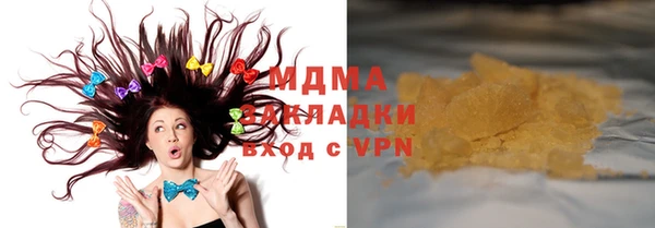 дмт Богданович