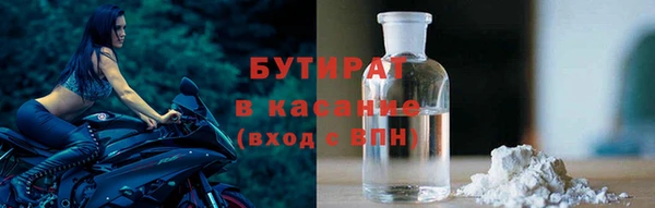 гидра Богородск