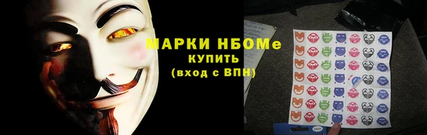 гидра Богородск