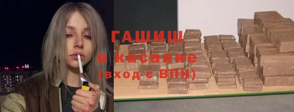 гидра Богородицк