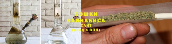 гидра Богородск