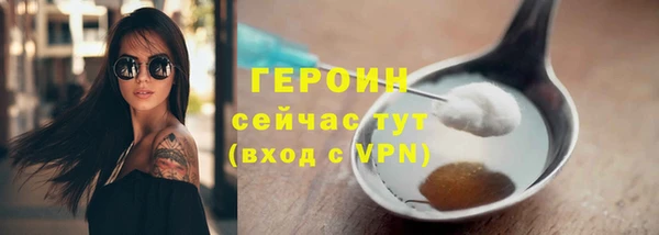 гидра Богородицк