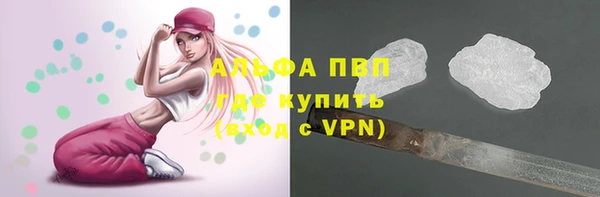 гидра Богородск