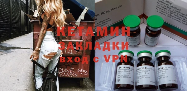 гидра Богородицк