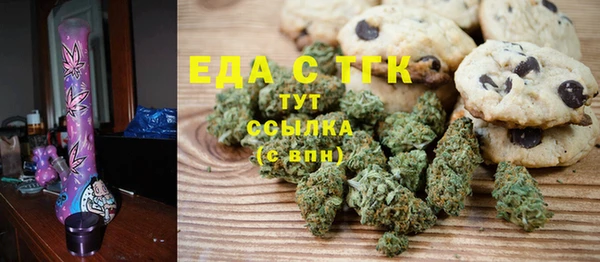 гидра Богородск
