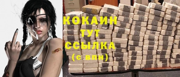 дмт Богданович