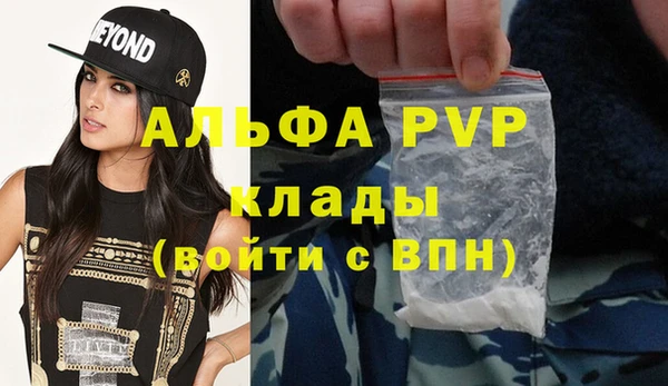 гидра Богородск