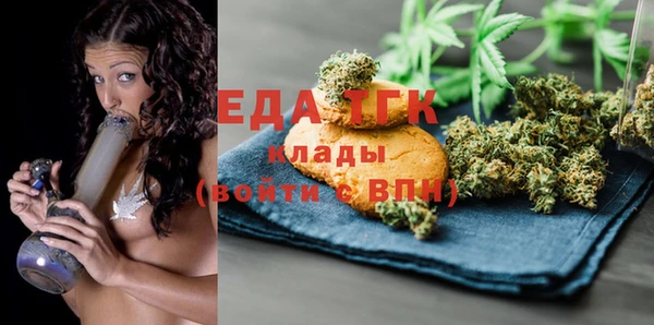 гидра Богородицк