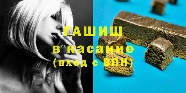гидра Богородицк