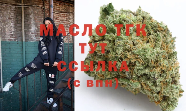 гидра Богородск