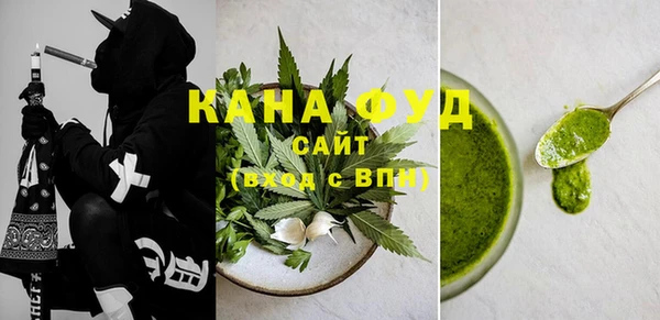 гидра Богородицк