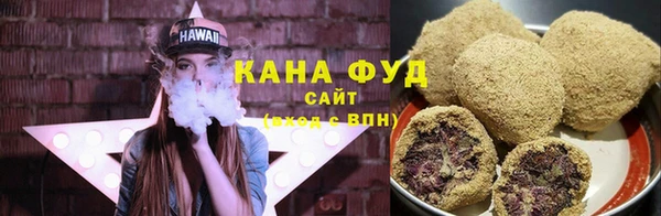гидра Богородск