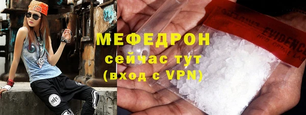 гидра Богородицк