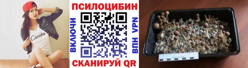 Псилоцибиновые грибы Psilocybe наркотики MEGA как войти Тында